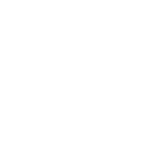 theconfettilife.